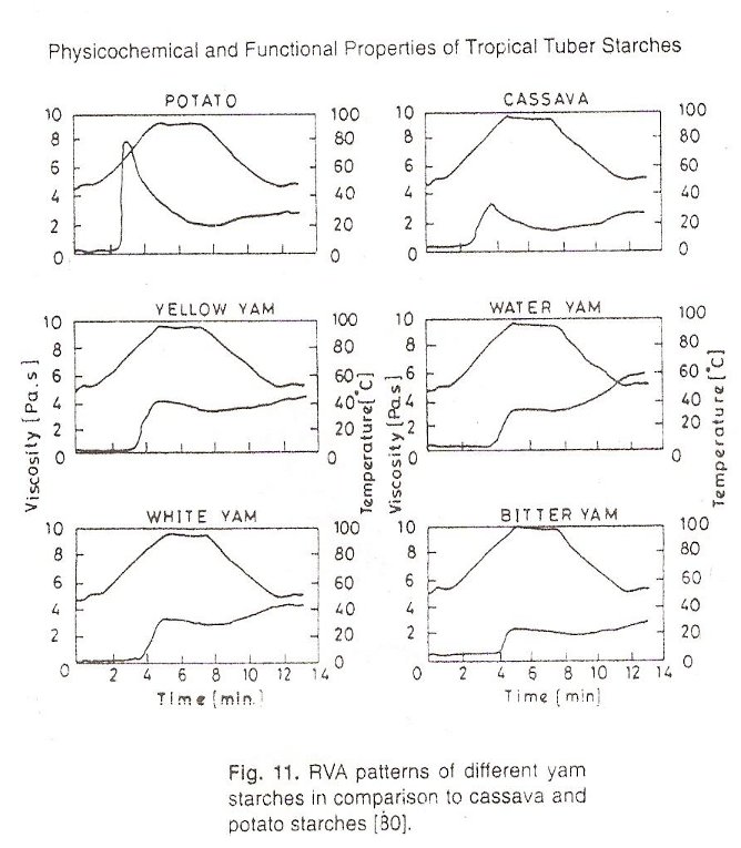 RVA Patterns of Different Yam Starches in Comparision to Cassava and Potato Starches