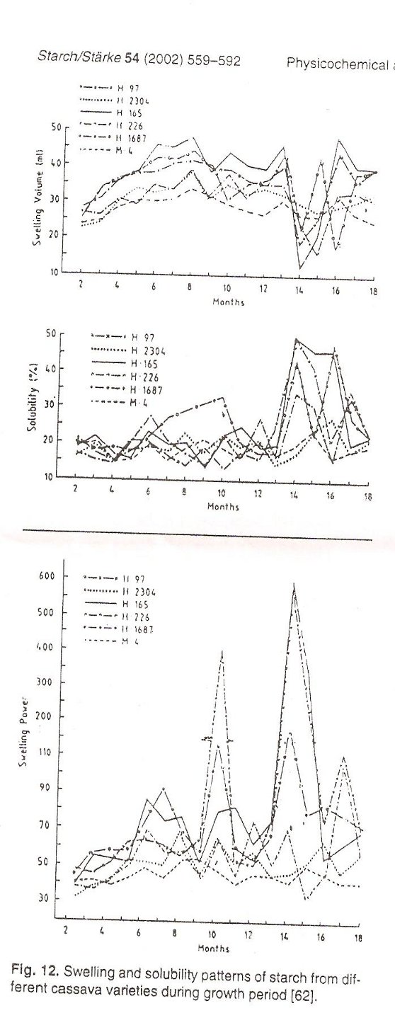 Swelling and Solubility Patterns of Starch from different Cassava Varieties during growth period